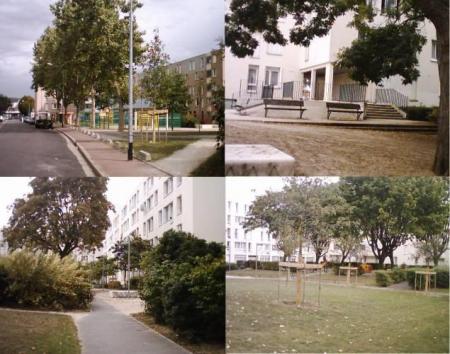les chenes